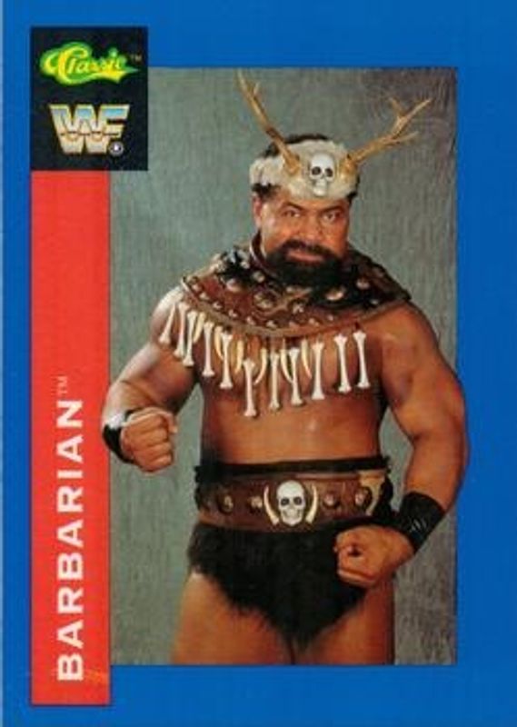 1991 Classic WWF #122 Base