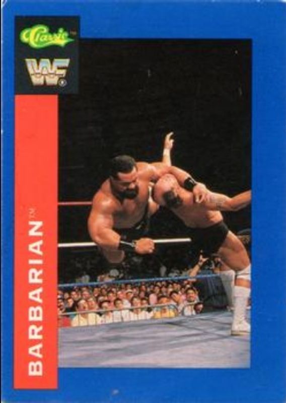 1991 Classic WWF #27 Base
