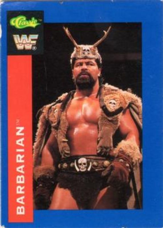 1991 Classic WWF #21 Base