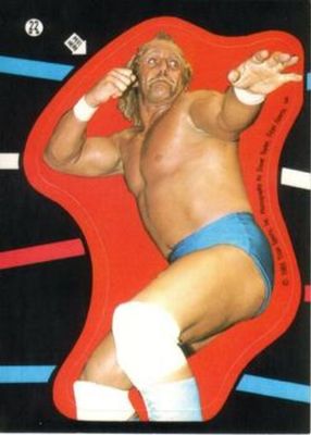 1985 O-Pee-Chee WWF Pro Wrestling Stars #22 Stickers