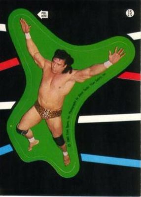 1985 O-Pee-Chee WWF Pro Wrestling Stars #15 Stickers