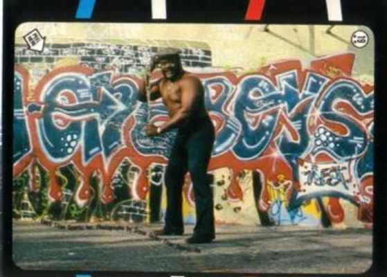 1985 O-Pee-Chee WWF Pro Wrestling Stars #19 Stickers