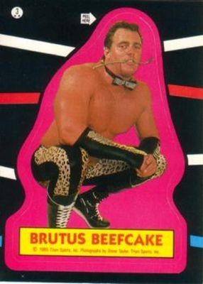 1985 O-Pee-Chee WWF Pro Wrestling Stars #3 Stickers