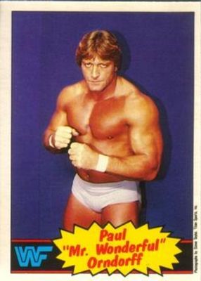 1985 O-Pee-Chee WWF Pro Wrestling Stars #5 Base
