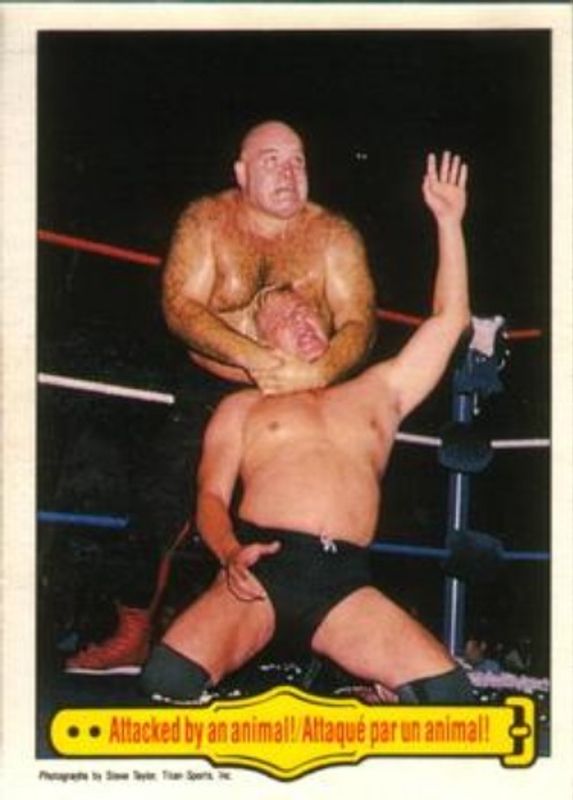 1985 O-Pee-Chee WWF Pro Wrestling Stars #37 Base