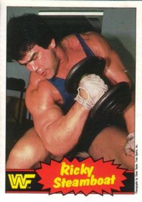 1985 O-Pee-Chee WWF Pro Wrestling Stars Series 2 #5 Base