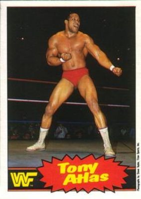 1985 O-Pee-Chee WWF Pro Wrestling Stars Series 2 #3 Base
