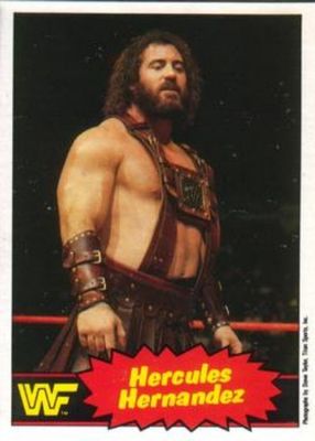 1985 O-Pee-Chee WWF Pro Wrestling Stars Series 2 #24 Base
