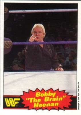 1985 O-Pee-Chee WWF Pro Wrestling Stars Series 2 #8 Base