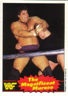 1985 O-Pee-Chee WWF Pro Wrestling Stars Series 2 #2 Base