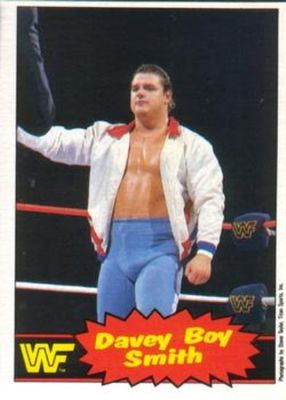 1985 O-Pee-Chee WWF Pro Wrestling Stars Series 2 #48 Base