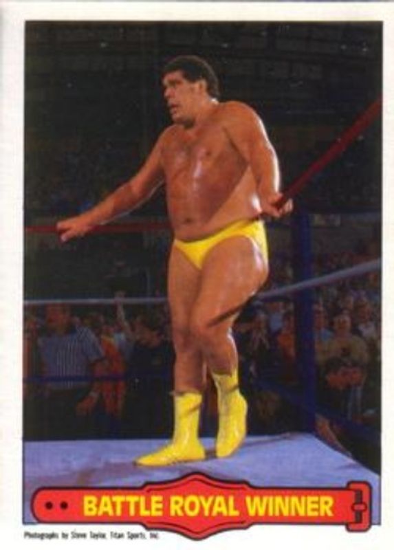 1985 O-Pee-Chee WWF Pro Wrestling Stars Series 2 #73 Base