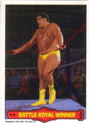 1985 O-Pee-Chee WWF Pro Wrestling Stars Series 2 #73 Base