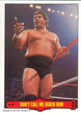 1985 O-Pee-Chee WWF Pro Wrestling Stars Series 2 #17 Base