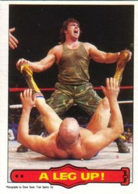 1985 O-Pee-Chee WWF Pro Wrestling Stars Series 2 #20 Base