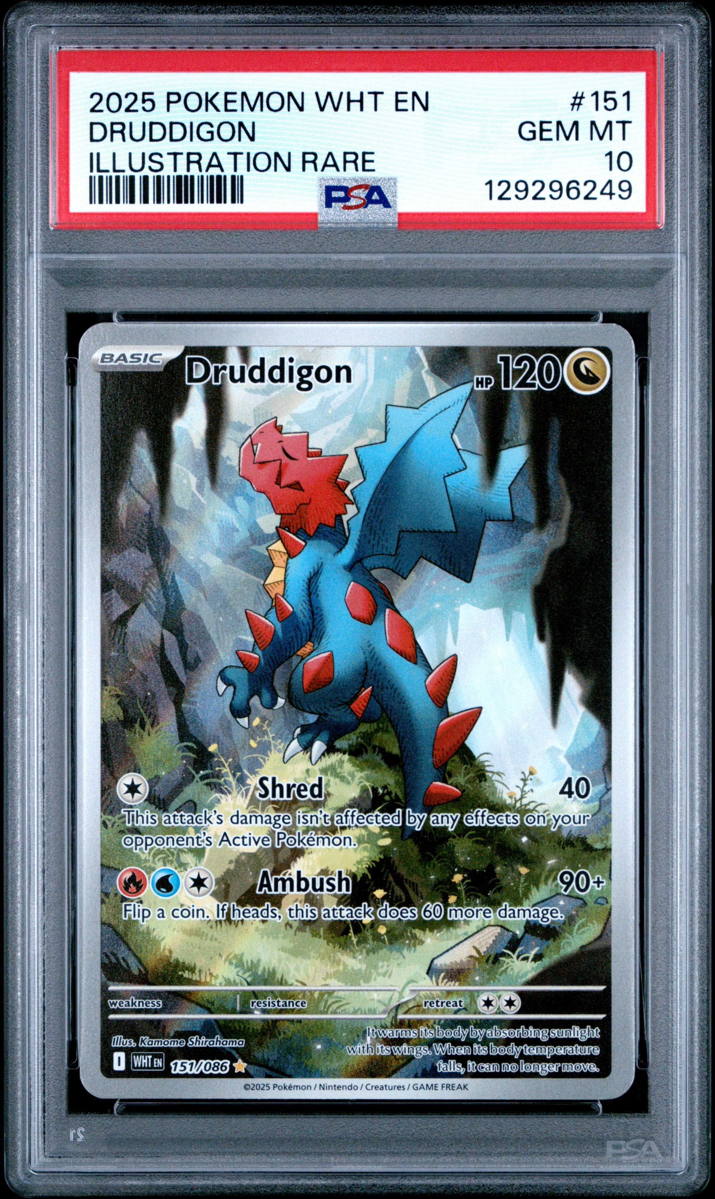 DRUDDIGON | 2025 POKEMON WHT EN-WHITE FLARE 151 | ILLUSTRATION RARE | PSA GEM MT 10