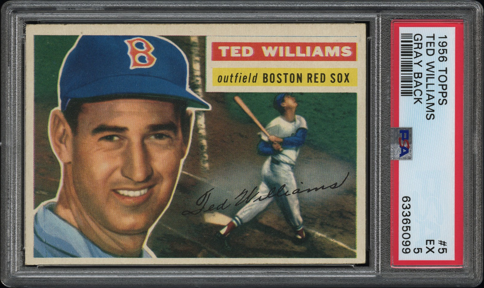 TED WILLIAMS | 1956 TOPPS 5 | GRAY BACK | PSA EX 5